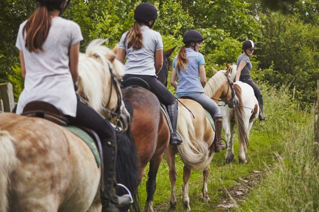 Escorted horse riding hacks through Epping Forest in Essex