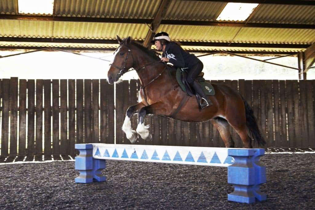 Horse jumping lessons up to 2ft at High Beech Riding School in Essex